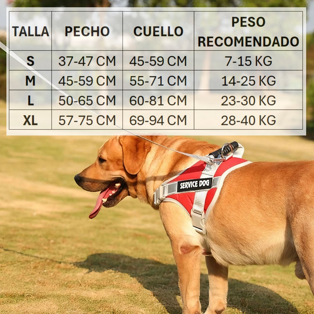 Arnes Pechera Para Perro Service Dog